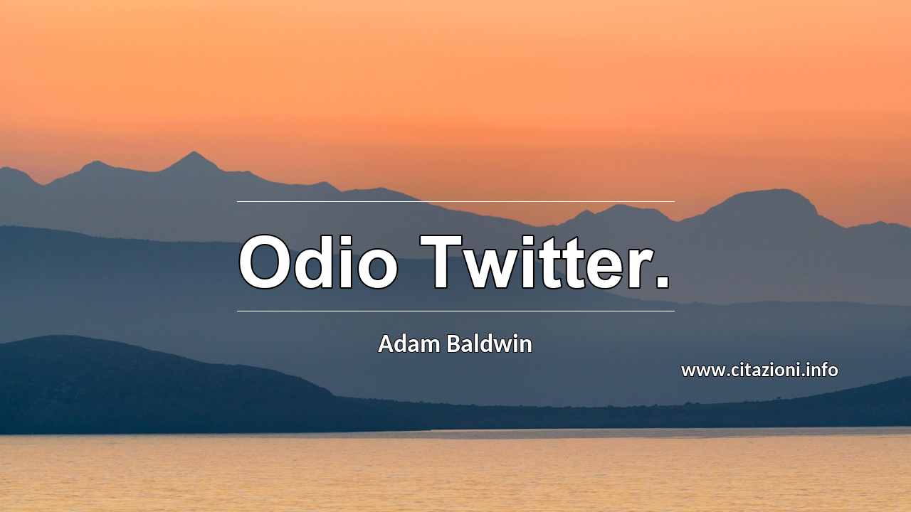 “Odio Twitter.”