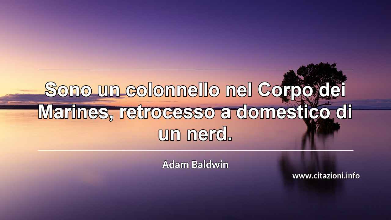 “Sono un colonnello nel Corpo dei Marines, retrocesso a domestico di un nerd.”