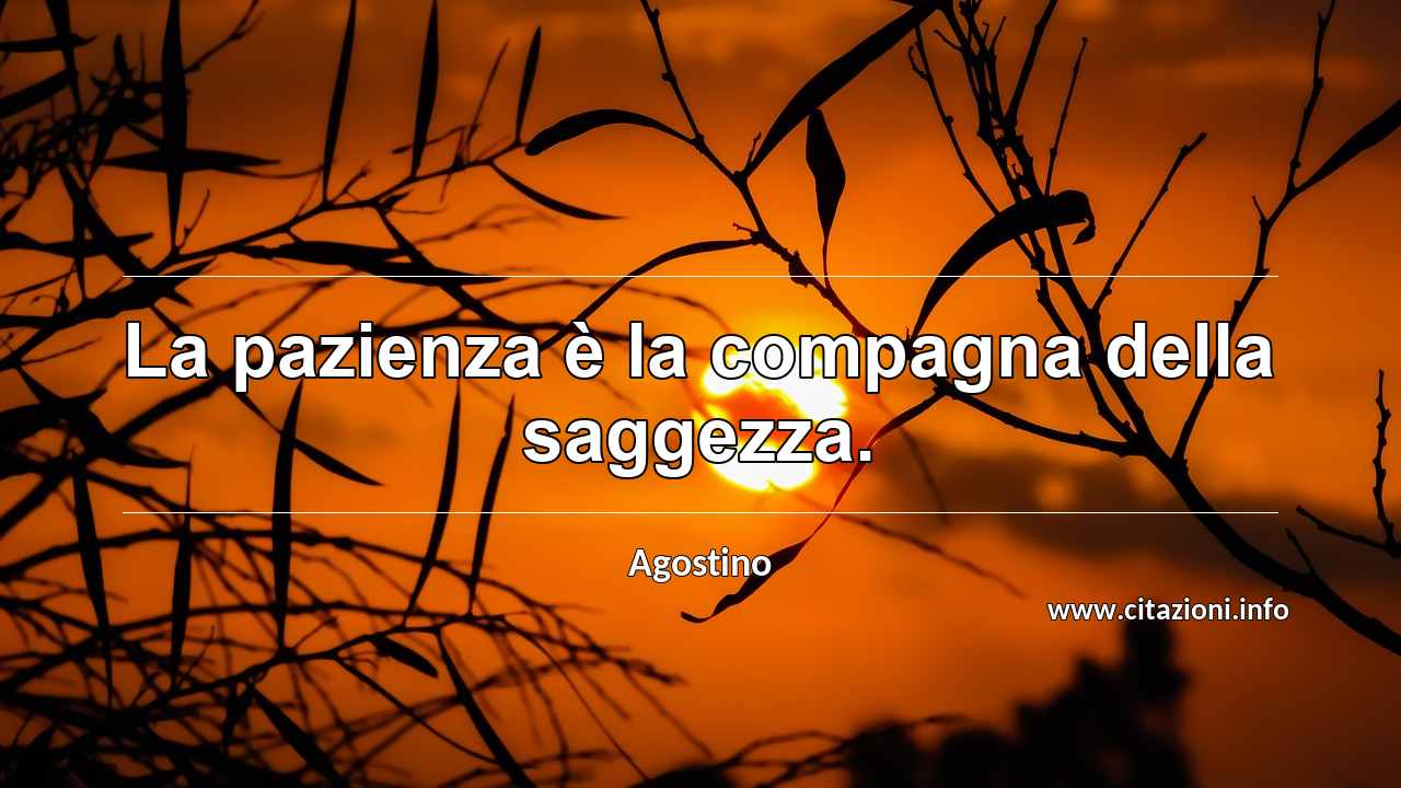 “La pazienza è la compagna della saggezza.”