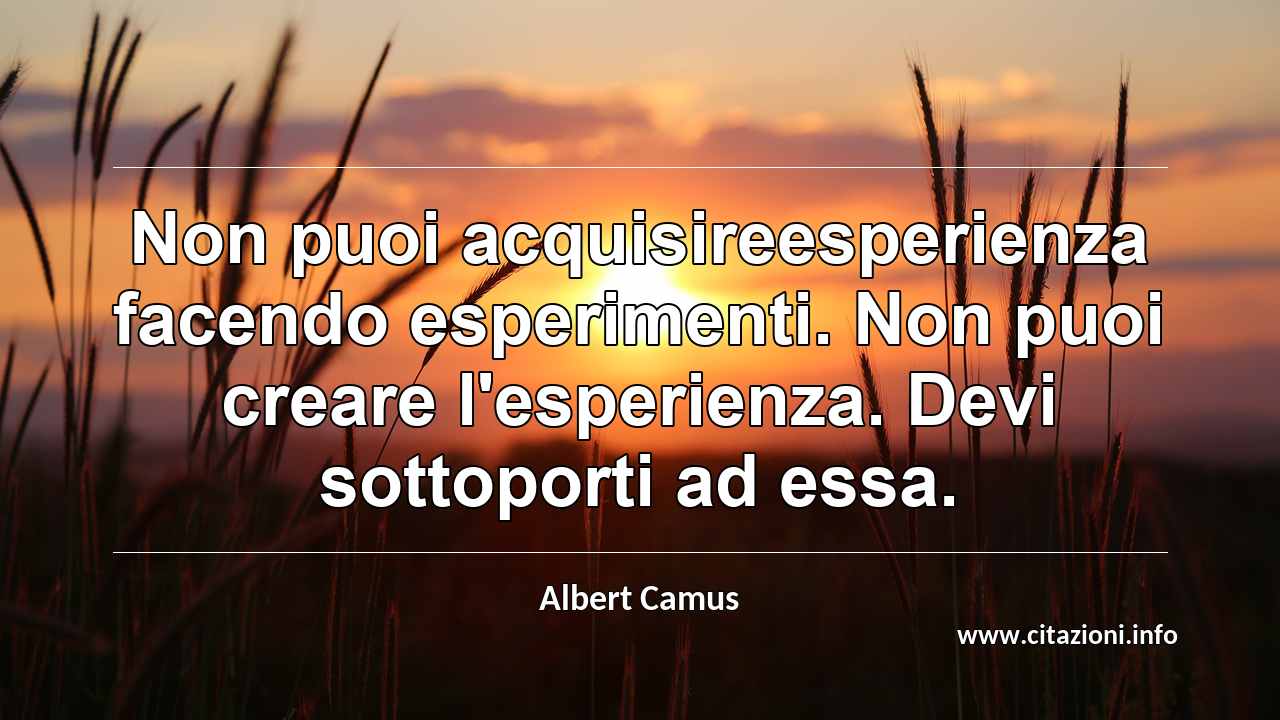 “Non puoi acquisireesperienza facendo esperimenti. Non puoi creare l'esperienza. Devi sottoporti ad essa.”