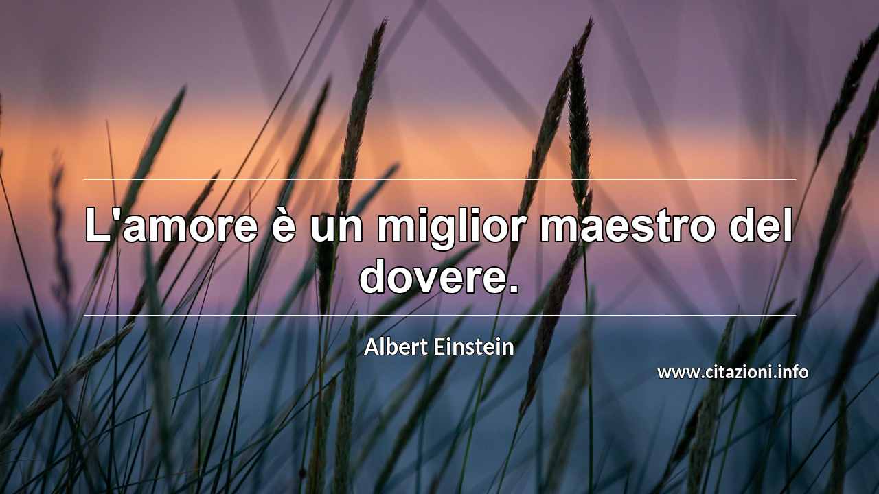 “L'amore è un miglior maestro del dovere.”