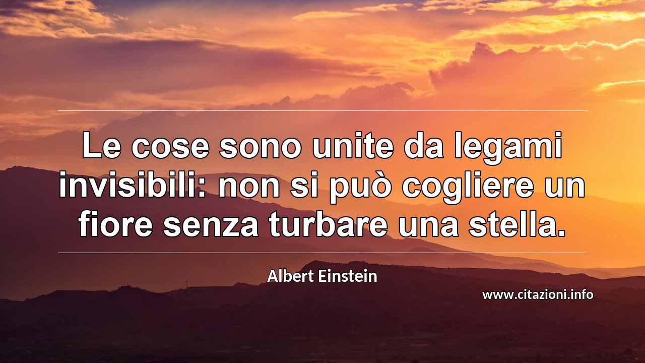 “Le cose sono unite da legami invisibili: non si può cogliere un fiore senza turbare una stella.”