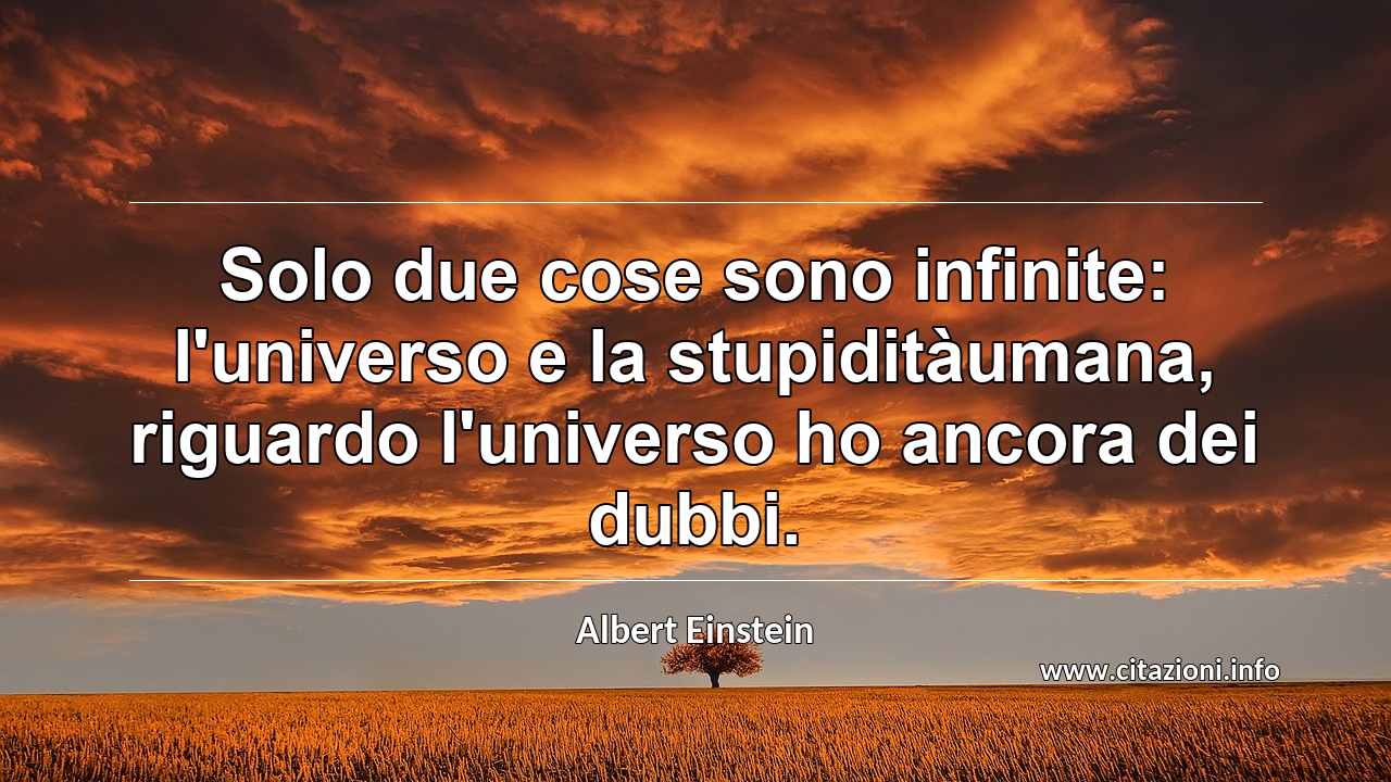 “Solo due cose sono infinite: l'universo e la stupiditàumana, riguardo l'universo ho ancora dei dubbi.”