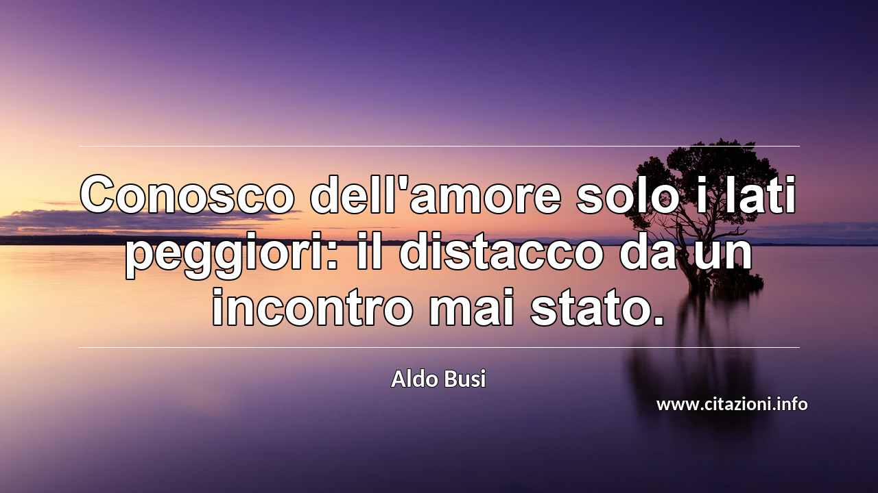 “Conosco dell'amore solo i lati peggiori: il distacco da un incontro mai stato.”