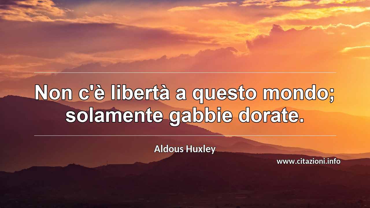 “Non c'è libertà a questo mondo; solamente gabbie dorate.”