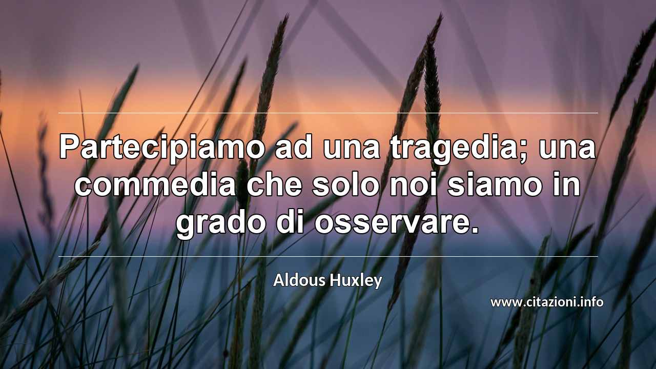 “Partecipiamo ad una tragedia; una commedia che solo noi siamo in grado di osservare.”