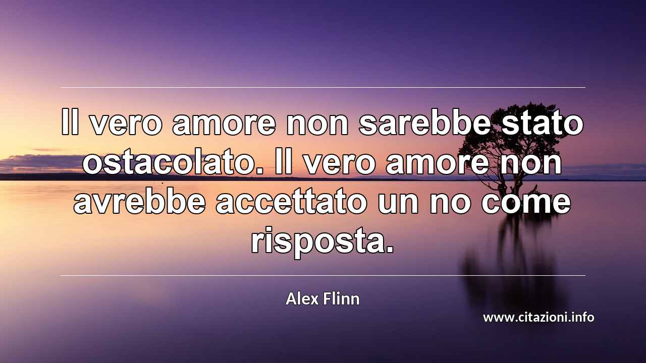 “Il vero amore non sarebbe stato ostacolato. Il vero amore non avrebbe accettato un no come risposta.”