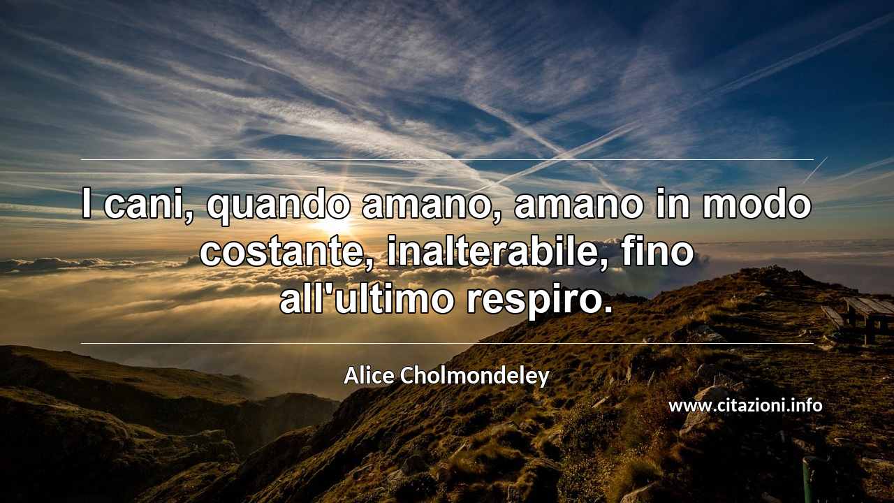 “I cani, quando amano, amano in modo costante, inalterabile, fino all'ultimo respiro.”