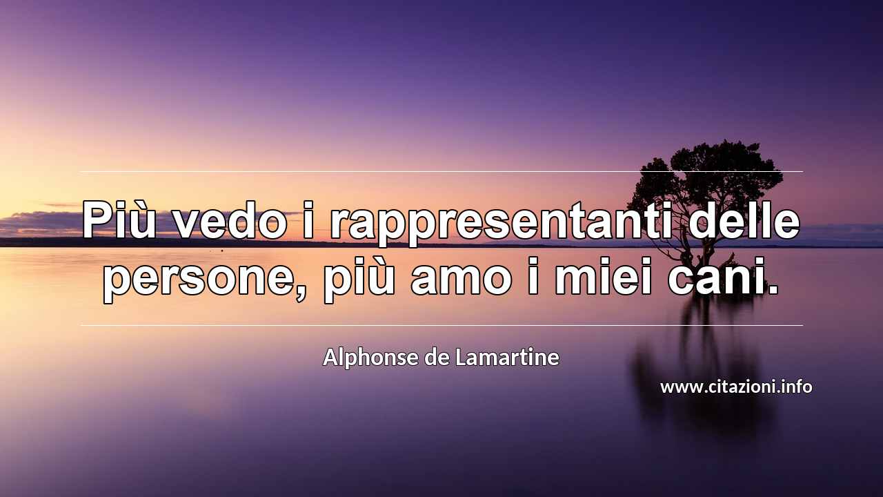 “Più vedo i rappresentanti delle persone, più amo i miei cani.”