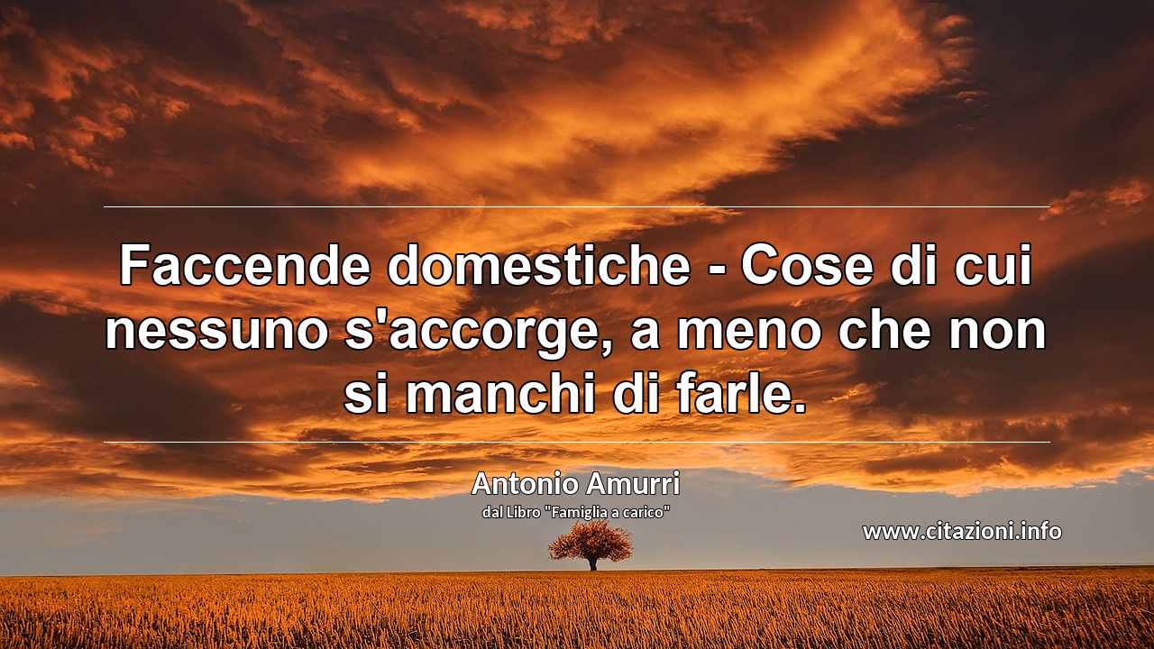 “Faccende domestiche - Cose di cui nessuno s'accorge, a meno che non si manchi di farle.”