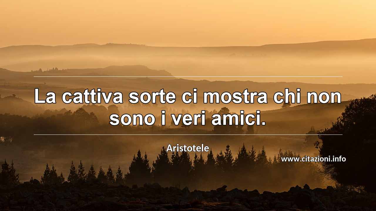 “La cattiva sorte ci mostra chi non sono i veri amici.”