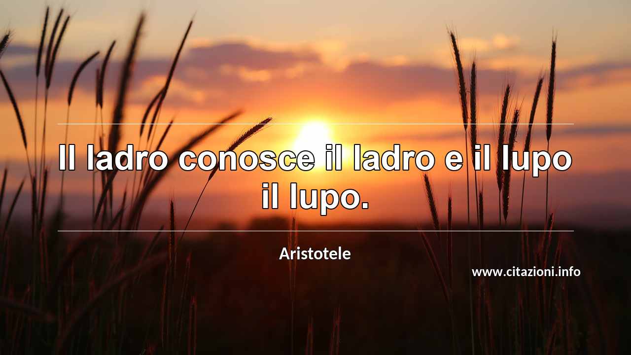 “Il ladro conosce il ladro e il lupo il lupo.”