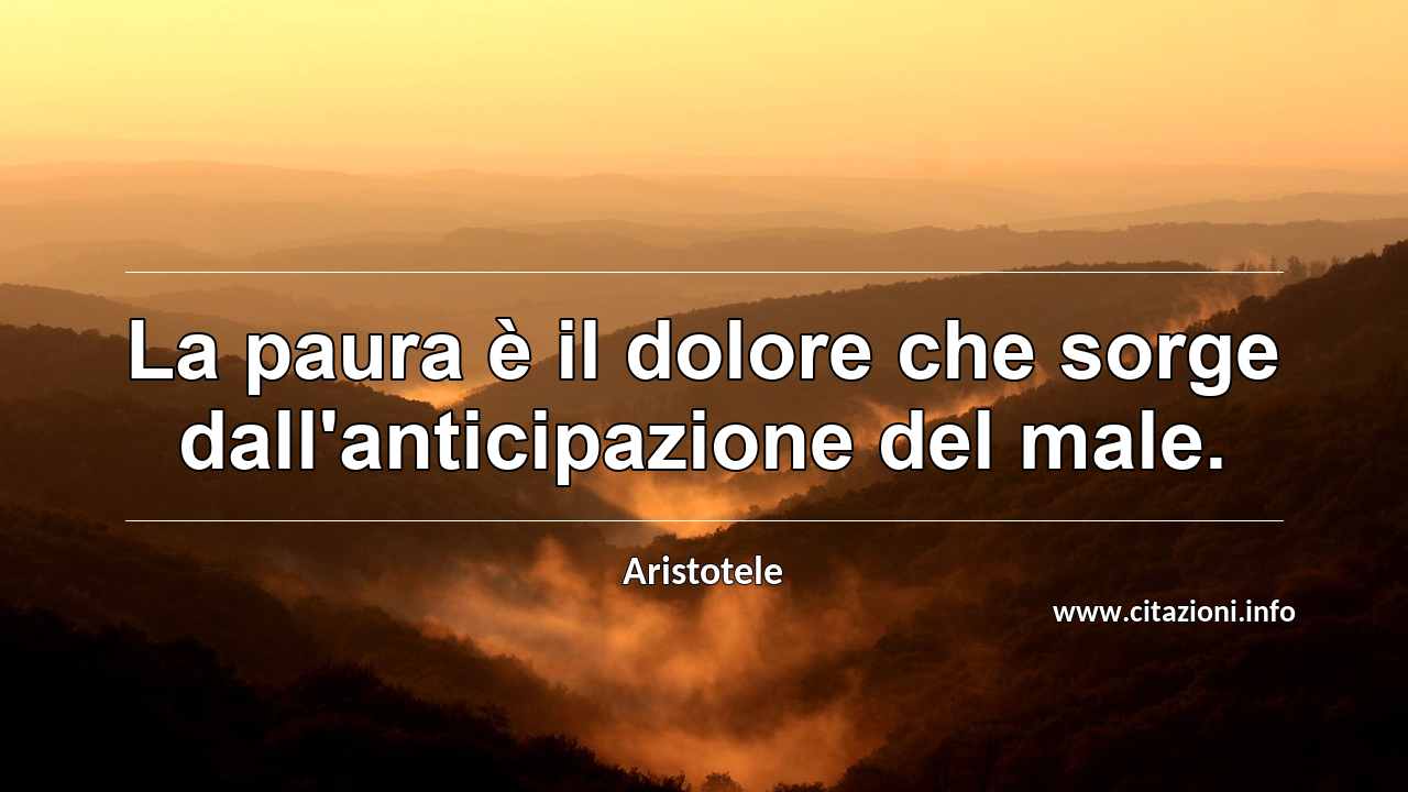 “La paura è il dolore che sorge dall'anticipazione del male.”