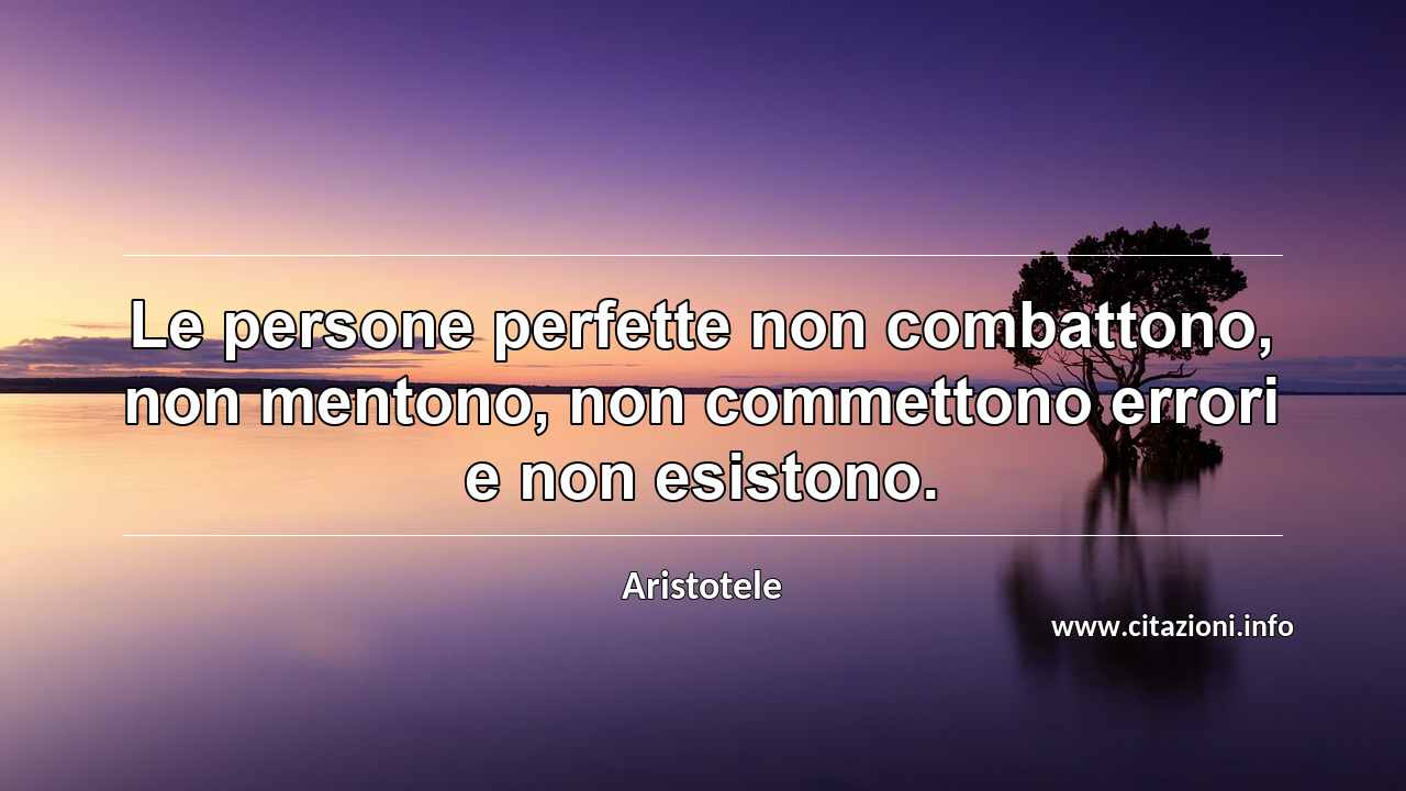 “Le persone perfette non combattono, non mentono, non commettono errori e non esistono.”