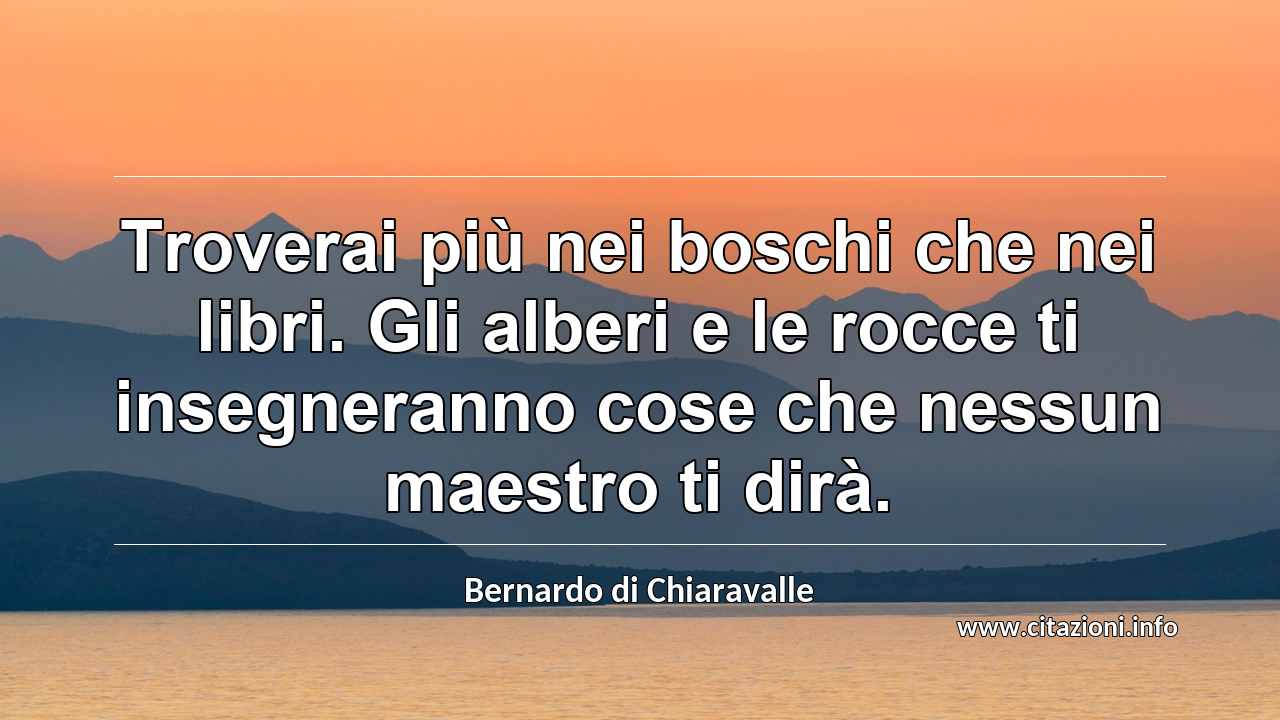 “Troverai più nei boschi che nei libri. Gli alberi e le rocce ti insegneranno cose che nessun maestro ti dirà.”