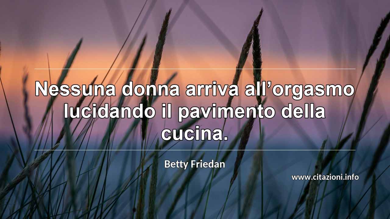“Nessuna donna arriva all’orgasmo lucidando il pavimento della cucina.”