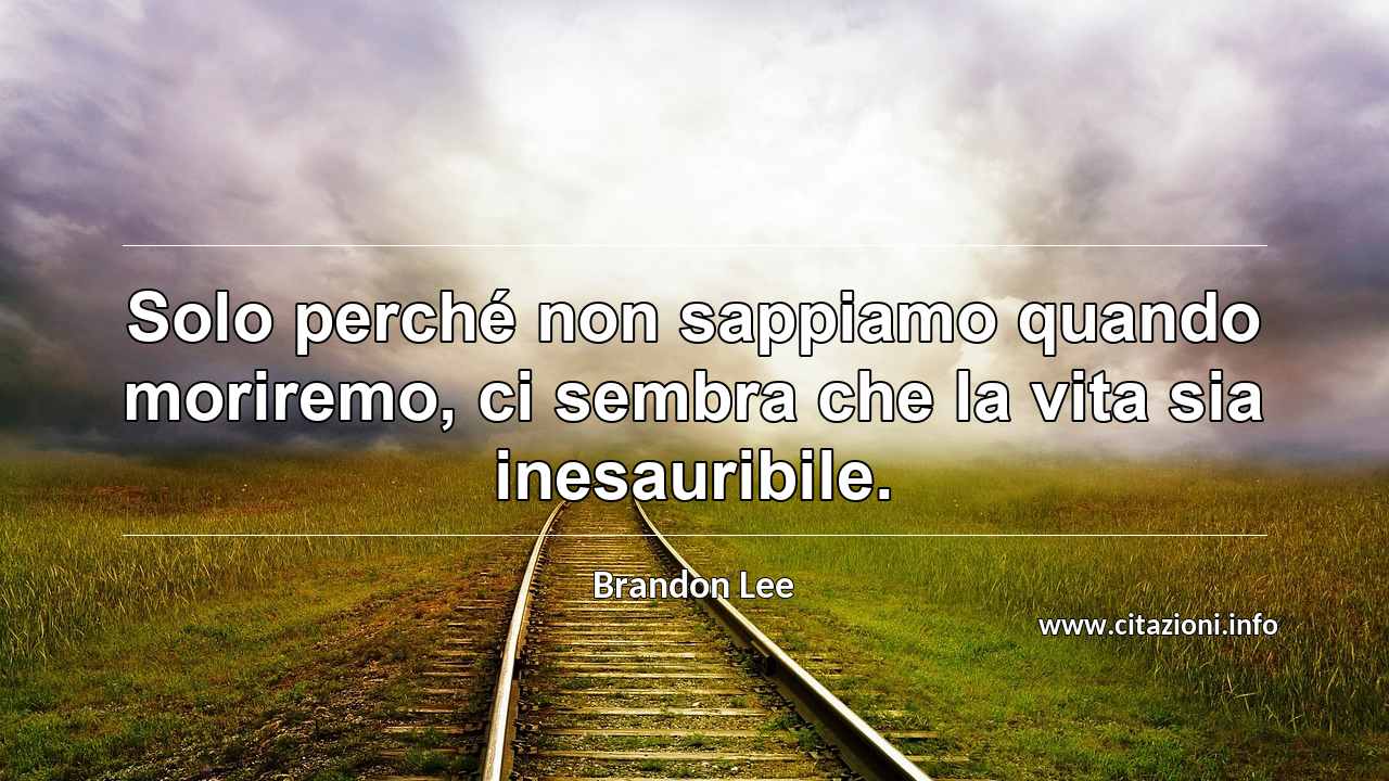 “Solo perché non sappiamo quando moriremo, ci sembra che la vita sia inesauribile.”