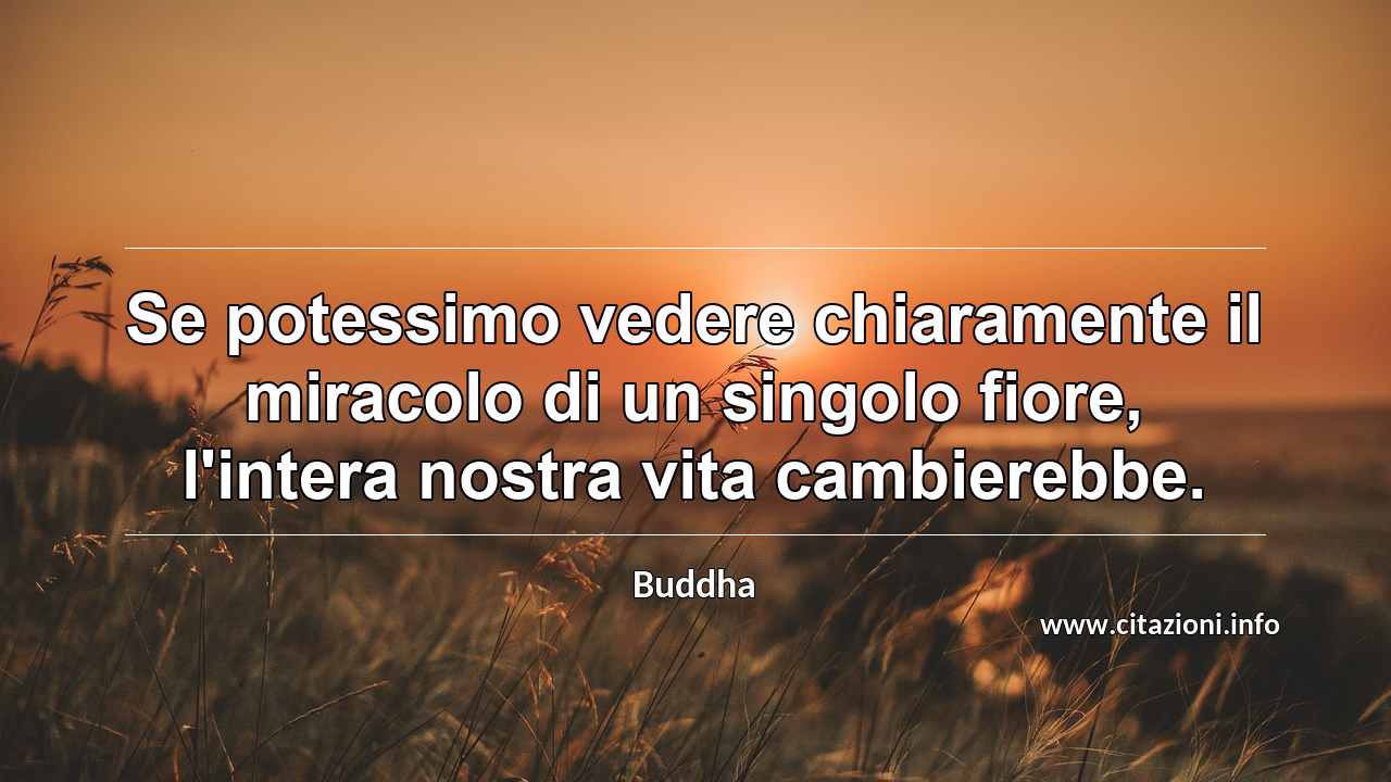 “Se potessimo vedere chiaramente il miracolo di un singolo fiore, l'intera nostra vita cambierebbe.”