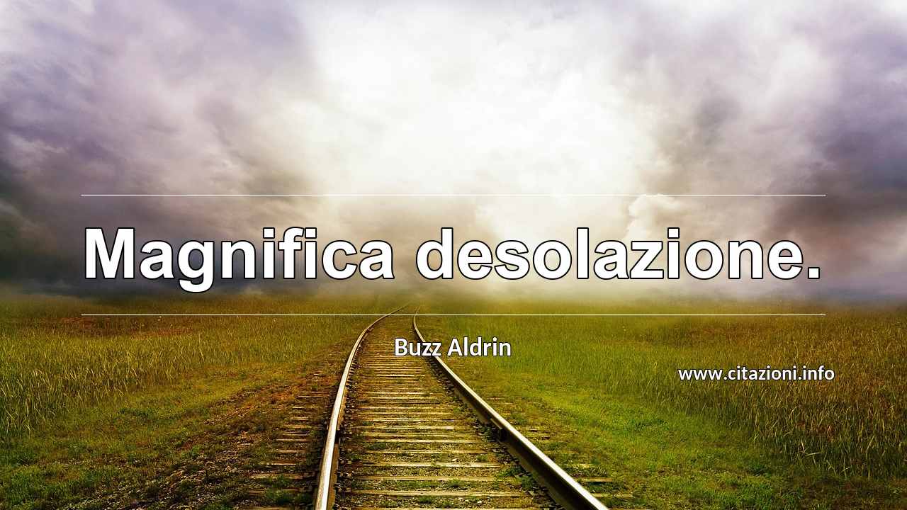 “Magnifica desolazione.”