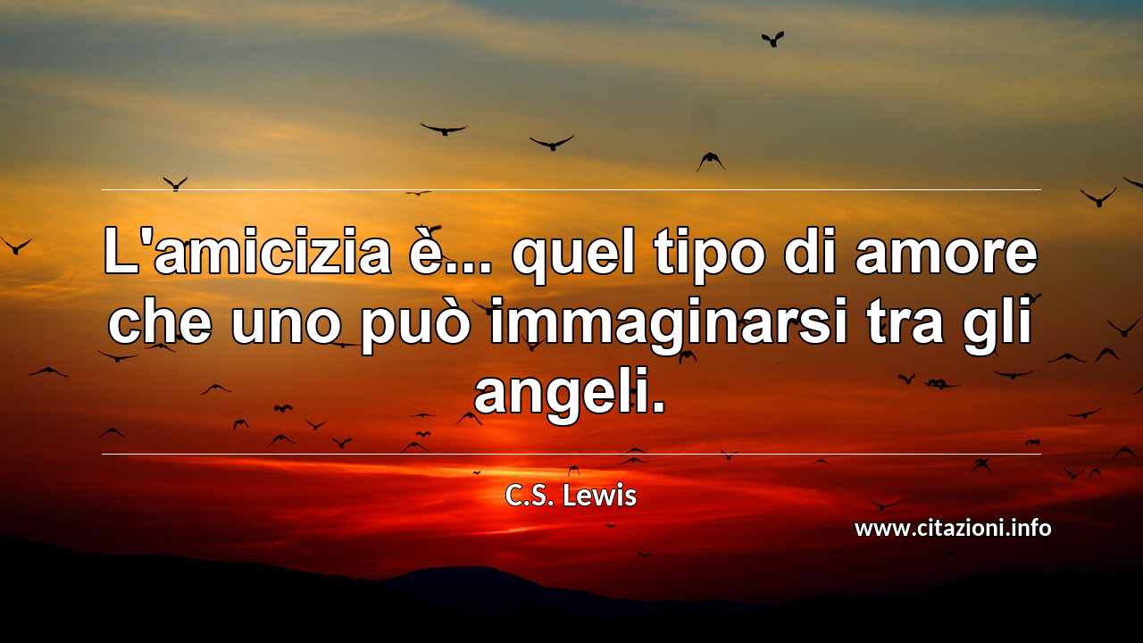 “L'amicizia è... quel tipo di amore che uno può immaginarsi tra gli angeli.”