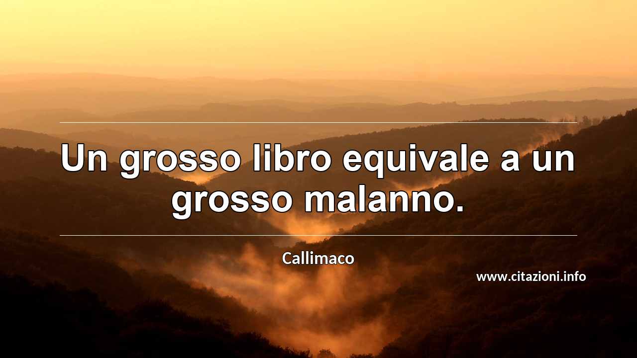 “Un grosso libro equivale a un grosso malanno.”