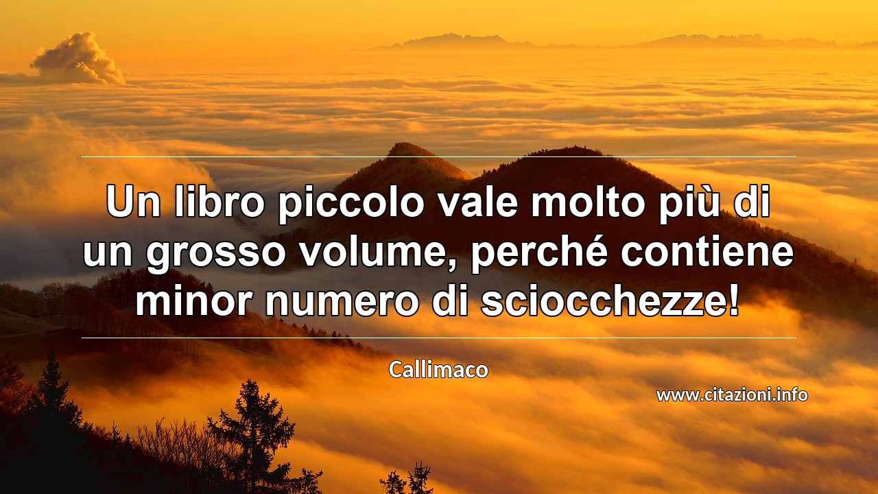 “Un libro piccolo vale molto più di un grosso volume, perché contiene minor numero di sciocchezze!”