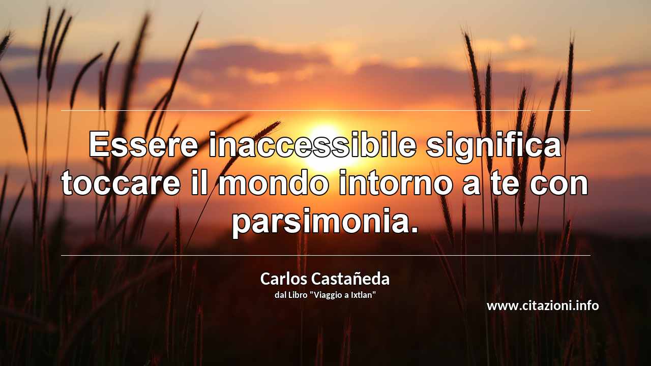 “Essere inaccessibile significa toccare il mondo intorno a te con parsimonia. ”