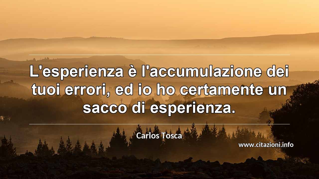 “L'esperienza è l'accumulazione dei tuoi errori, ed io ho certamente un sacco di esperienza.”