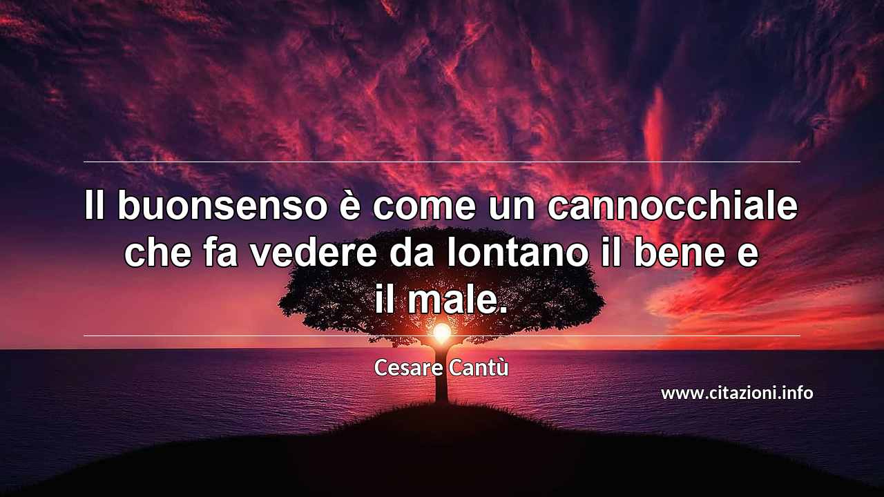 “Il buonsenso è come un cannocchiale che fa vedere da lontano il bene e il male.”