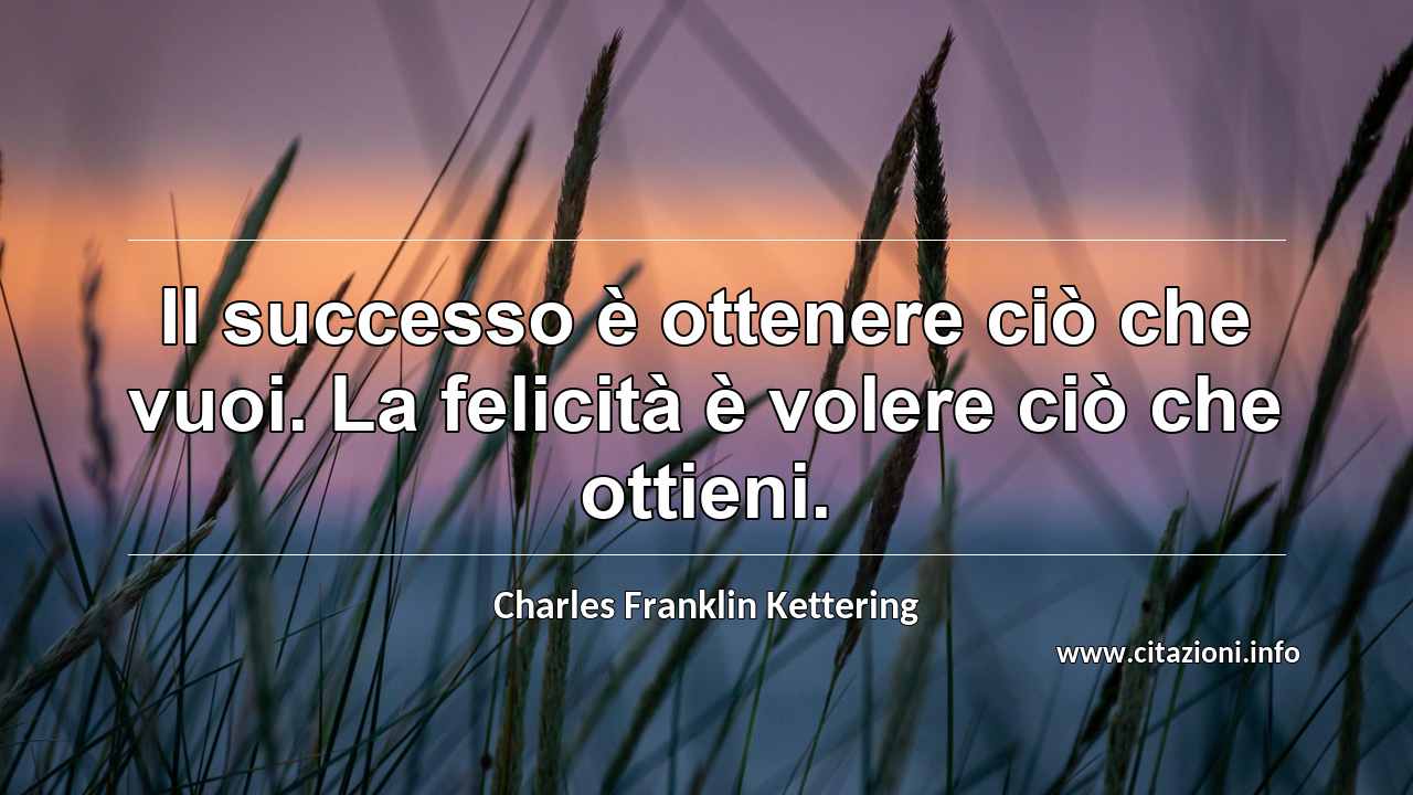 “Il successo è ottenere ciò che vuoi. La felicità è volere ciò che ottieni.”