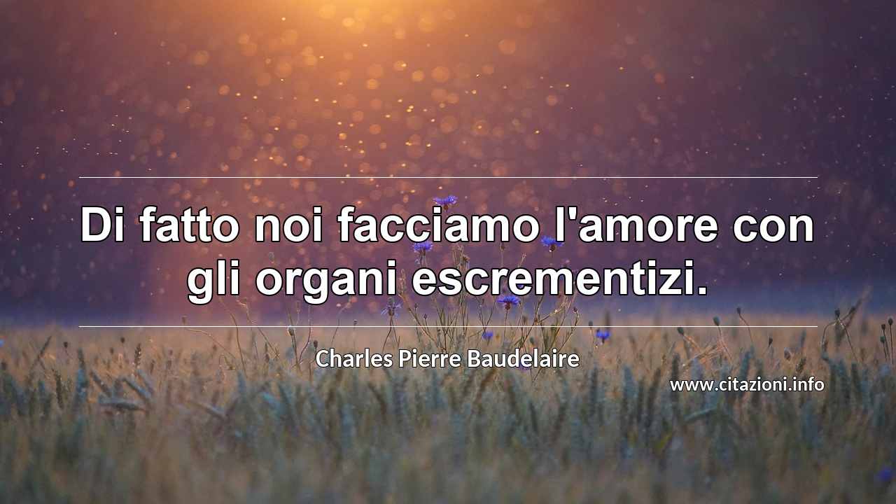 “Di fatto noi facciamo l'amore con gli organi escrementizi.”