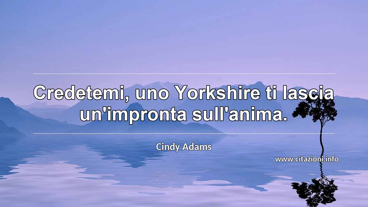 “Credetemi, uno Yorkshire ti lascia un'impronta sull'anima. ”