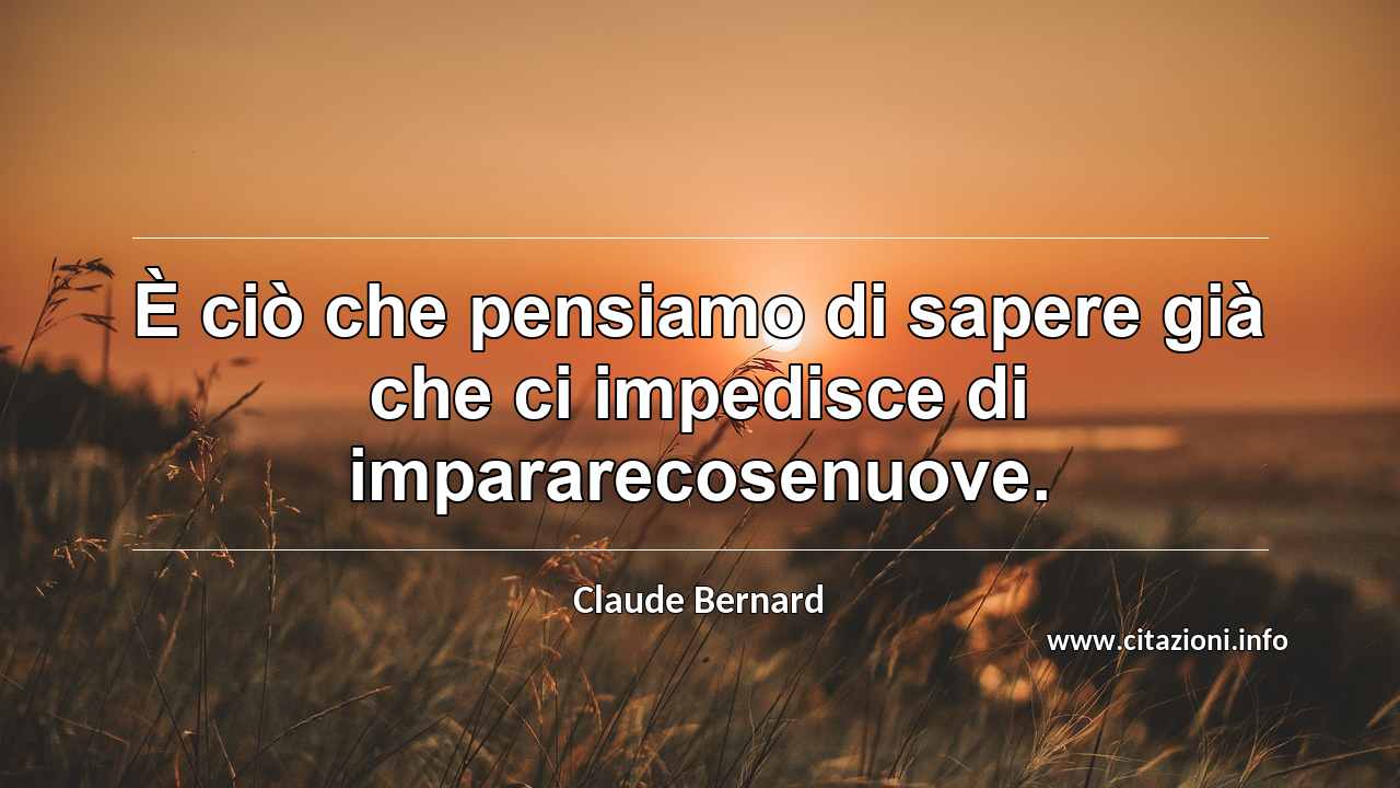 “È ciò che pensiamo di sapere già che ci impedisce di impararecosenuove.”