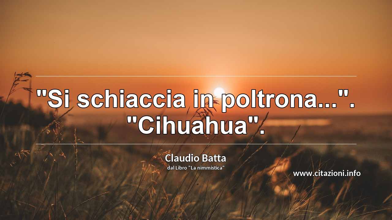 "Si schiaccia in poltrona...". "Cihuahua".