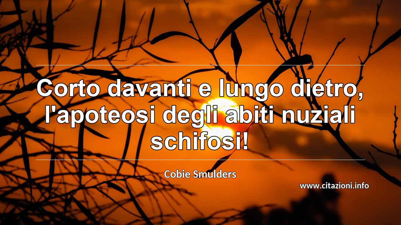 “Corto davanti e lungo dietro, l'apoteosi degli abiti nuziali schifosi!”