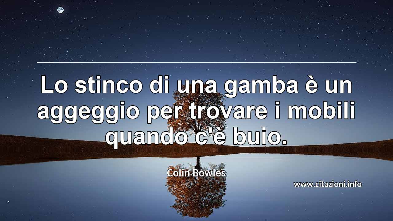 “Lo stinco di una gamba è un aggeggio per trovare i mobili quando c'è buio.”