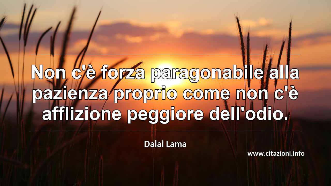 “Non c'è forza paragonabile alla pazienza proprio come non c'è afflizione peggiore dell'odio.”