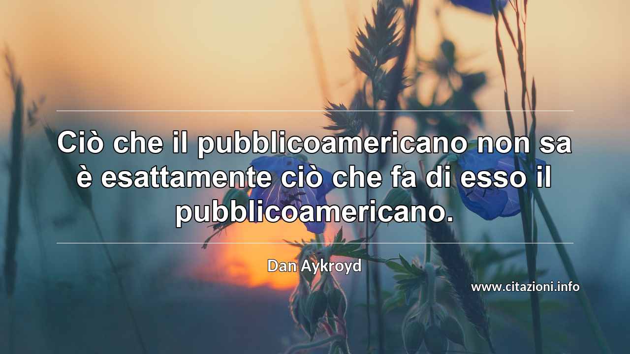 “Ciò che il pubblicoamericano non sa è esattamente ciò che fa di esso il pubblicoamericano.”