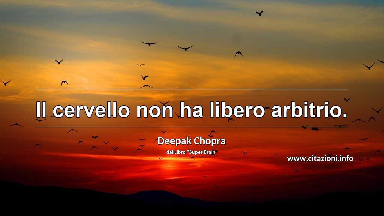 “Il cervello non ha libero arbitrio.”