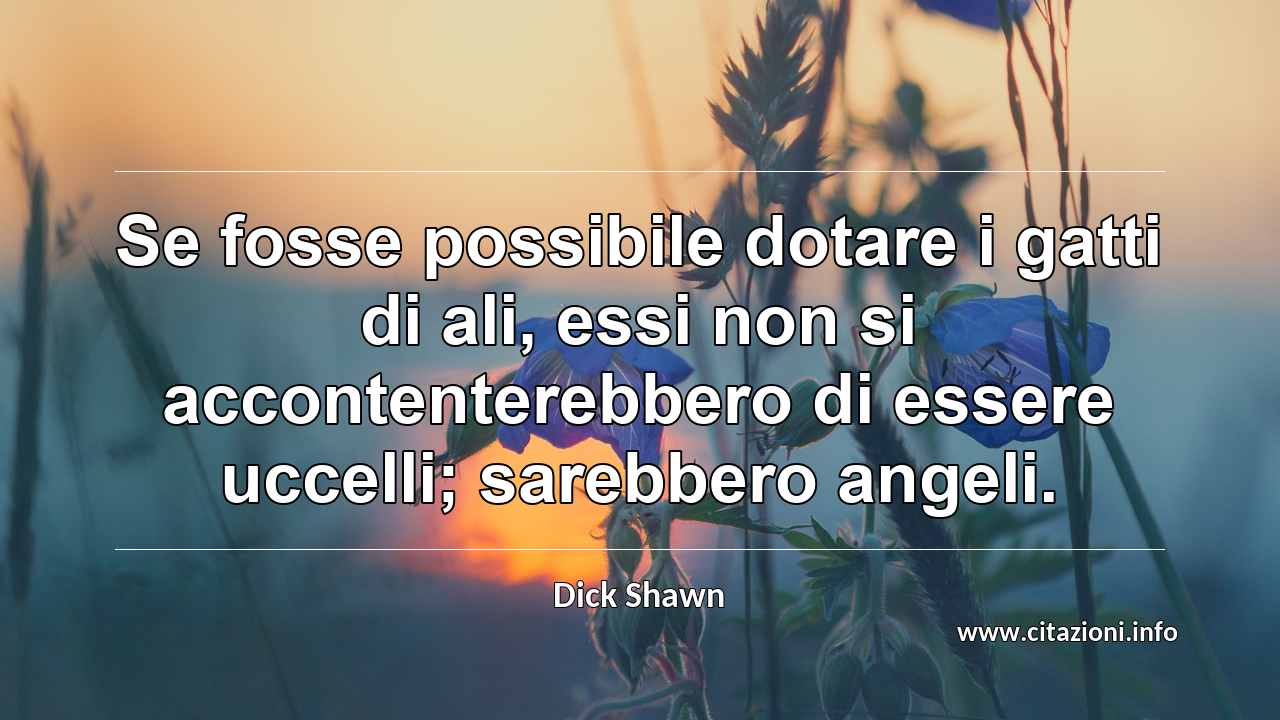 “Se fosse possibile dotare i gatti di ali, essi non si accontenterebbero di essere uccelli; sarebbero angeli.”