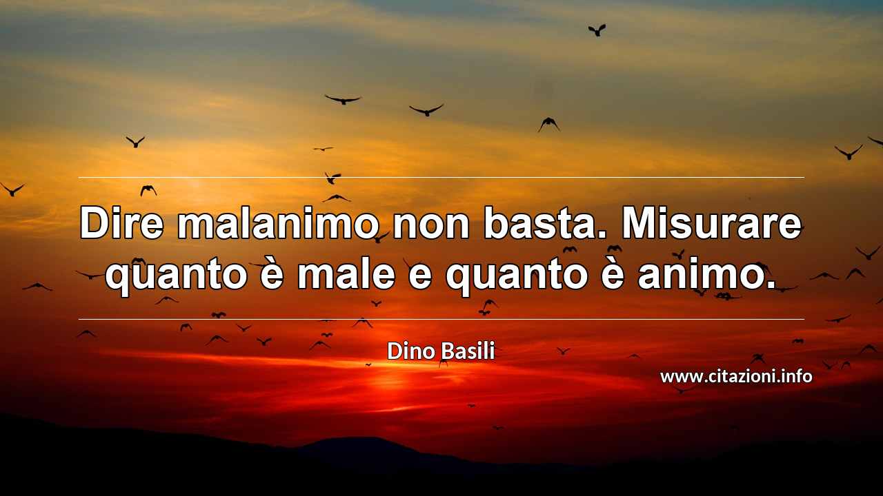 “Dire malanimo non basta. Misurare quanto è male e quanto è animo.”