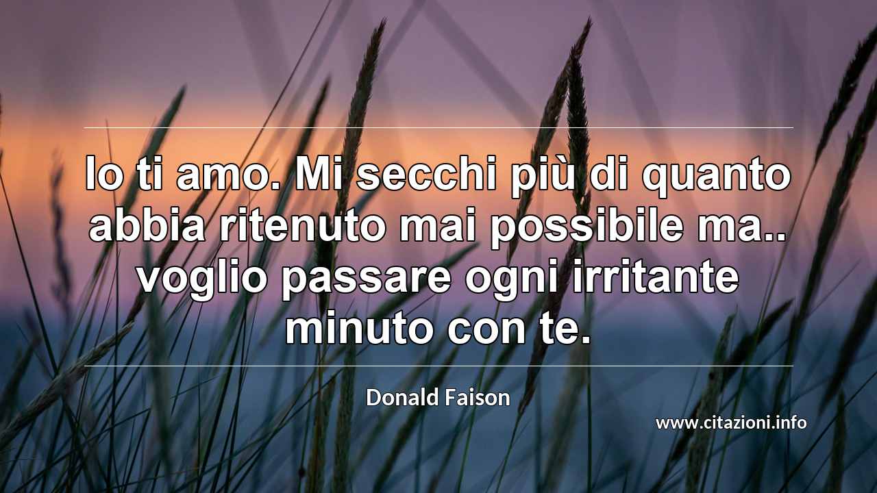 “Io ti amo. Mi secchi più di quanto abbia ritenuto mai possibile ma.. voglio passare ogni irritante minuto con te.”