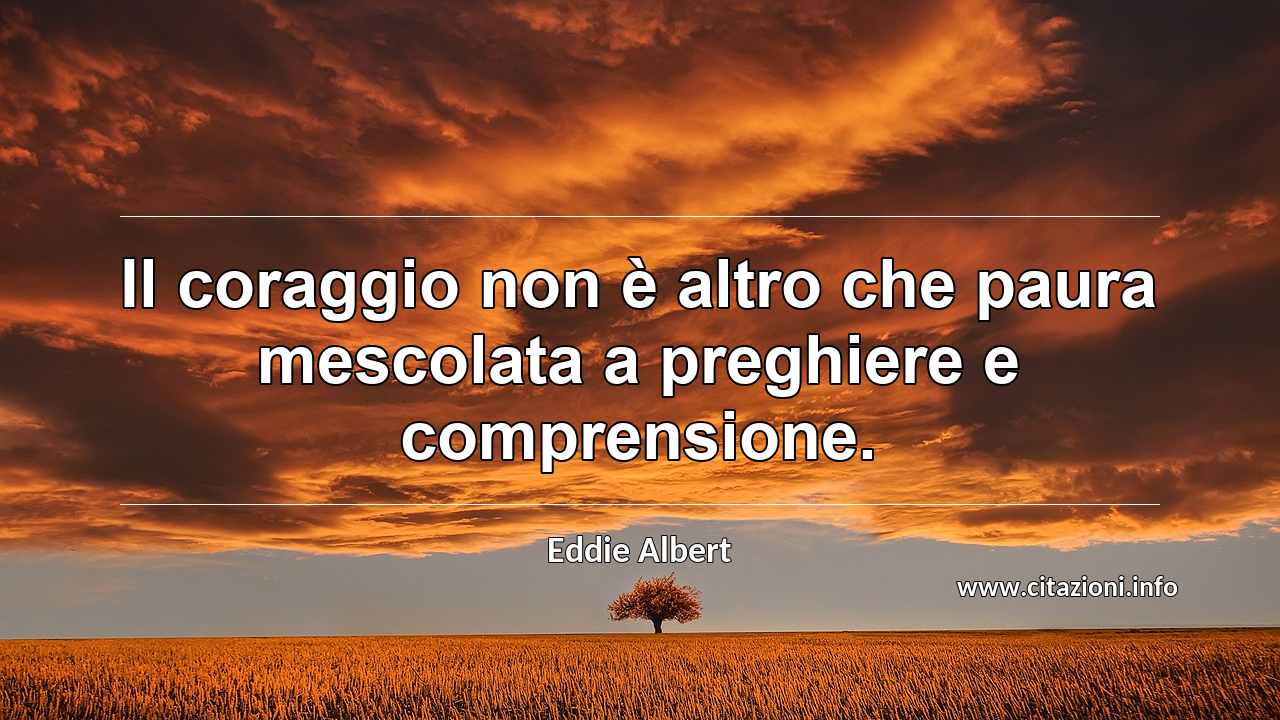 “Il coraggio non è altro che paura mescolata a preghiere e comprensione.”