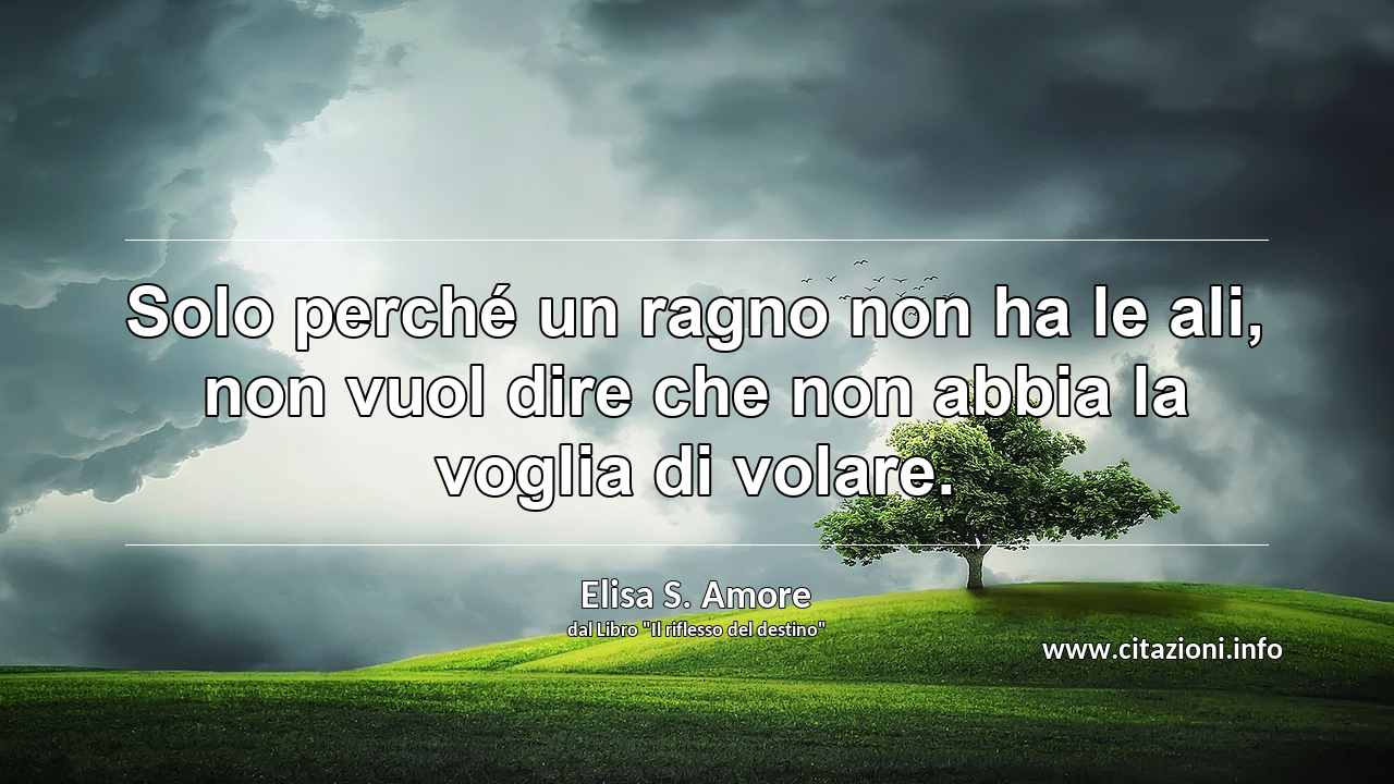 “Solo perché un ragno non ha le ali, non vuol dire che non abbia la voglia di volare.”
