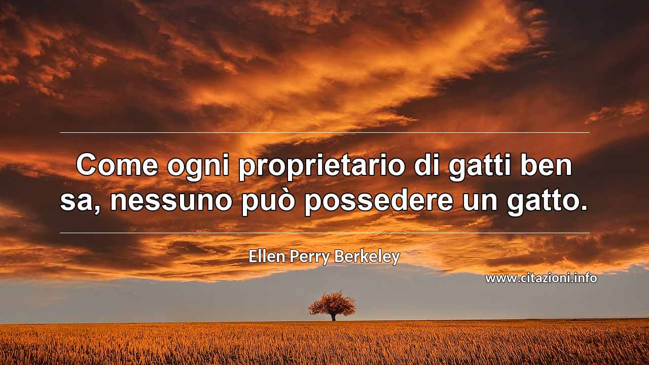 “Come ogni proprietario di gatti ben sa, nessuno può possedere un gatto.”