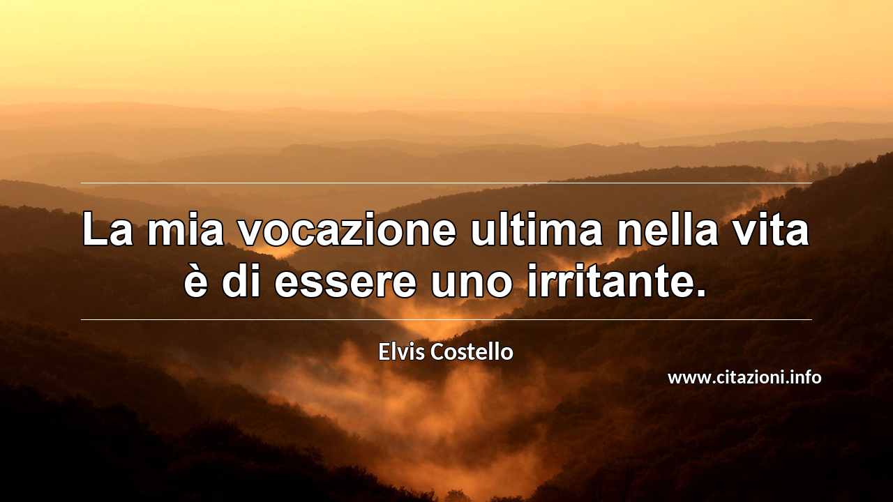 “La mia vocazione ultima nella vita è di essere uno irritante.”
