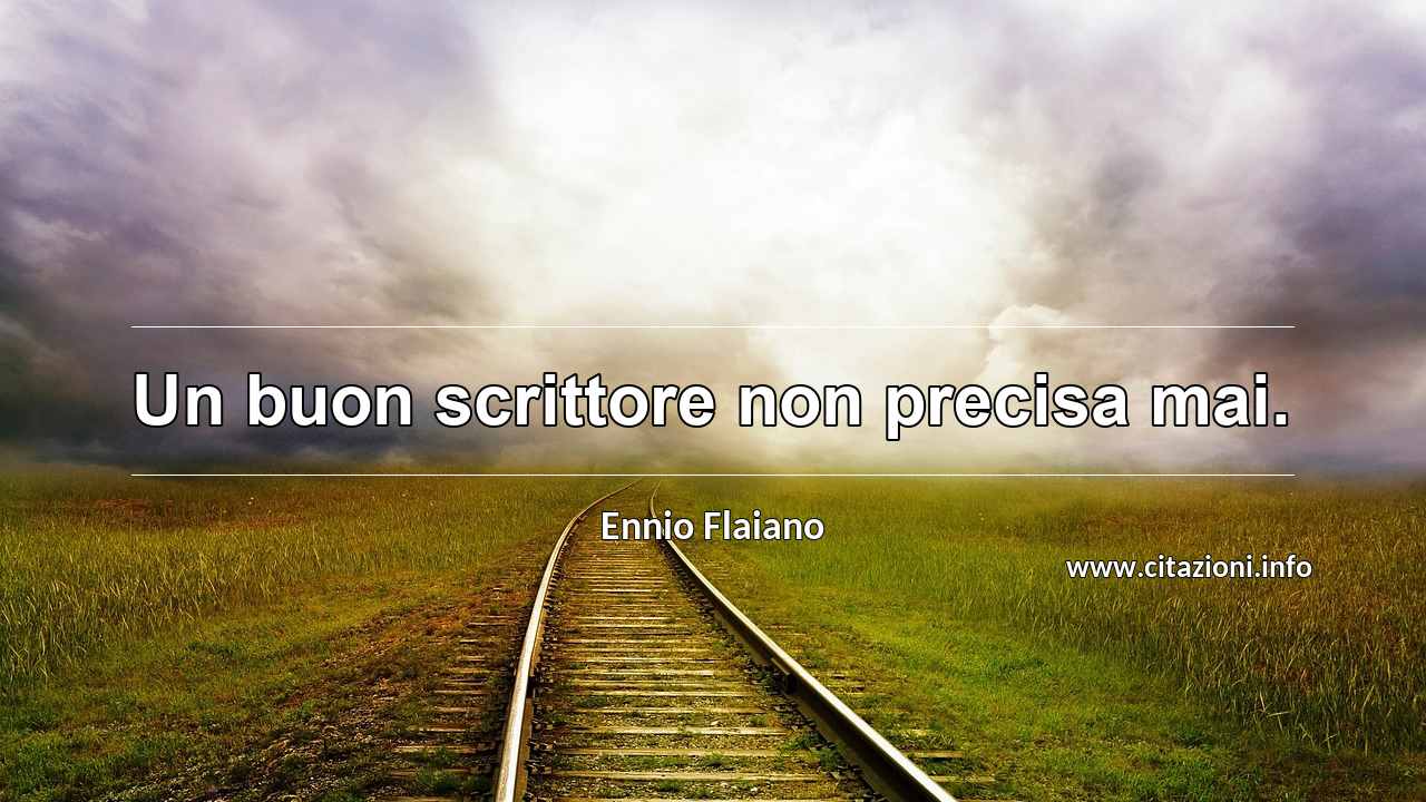 “Un buon scrittore non precisa mai.”