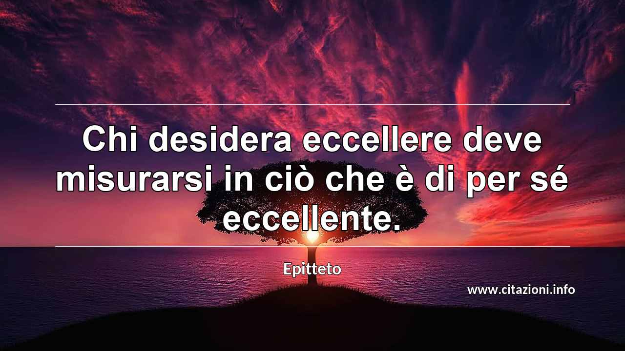 “Chi desidera eccellere deve misurarsi in ciò che è di per sé eccellente.”