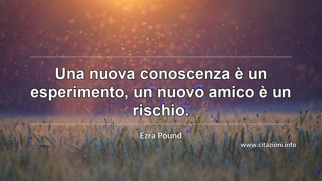 “Una nuova conoscenza è un esperimento, un nuovo amico è un rischio.”