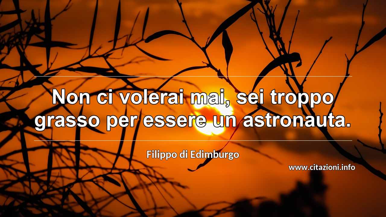 “Non ci volerai mai, sei troppo grasso per essere un astronauta.”